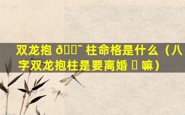 双龙抱 🐯 柱命格是什么（八字双龙抱柱是要离婚 ☘ 嘛）